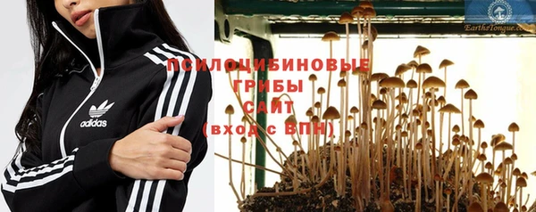 ECSTASY Лихославль