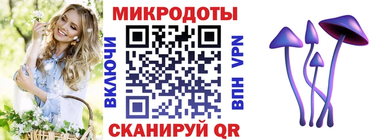 Купить  Чебаркуль  Псилоцибиновые грибы прущие грибы 